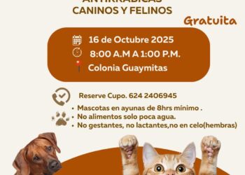 Realizarán campaña gratuita de esterilización de mascotas este jueves en San José del Cabo