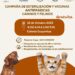 Realizarán campaña gratuita de esterilización de mascotas este jueves en San José del Cabo