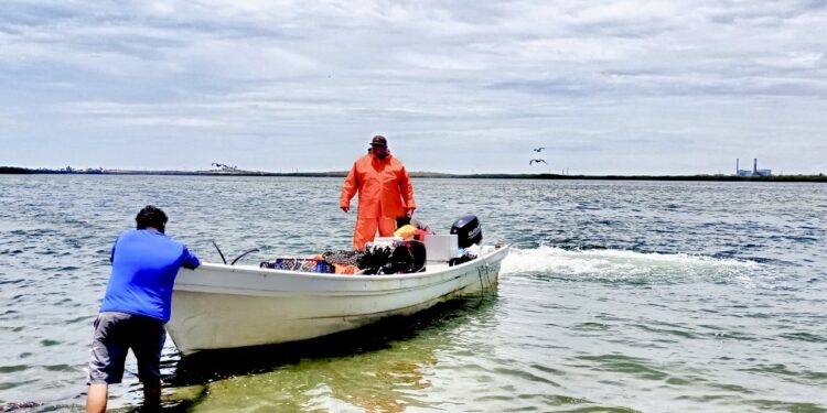 SEPADA respalda a pescadores y acuicultores con el Programa Seguro de Vida