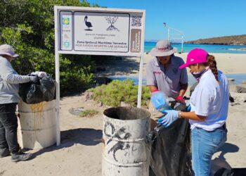 Recolecta Zofemat más de 5 toneladas de residuos en playas y zonas costeras de La Paz