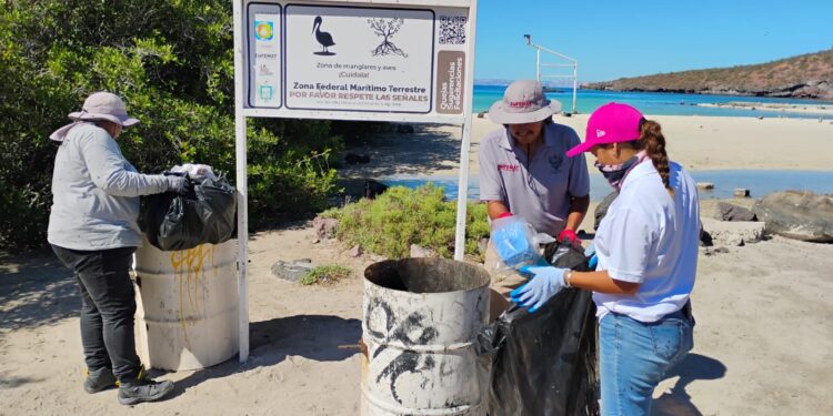 Recolecta Zofemat más de 5 toneladas de residuos en playas y zonas costeras de La Paz