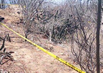 🚨🔫 Hallan cuerpo en avanzado estado de descomposición en Villa Alberto Alvarado Arámburo; PGJE investiga