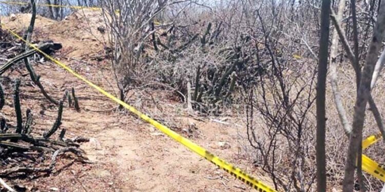 🚨🔫 Hallan cuerpo en avanzado estado de descomposición en Villa Alberto Alvarado Arámburo; PGJE investiga