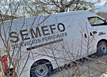 🚨🔪 Joven de 19 años muere tras brutal riña en Cabo San Lucas; PGJE inicia investigación