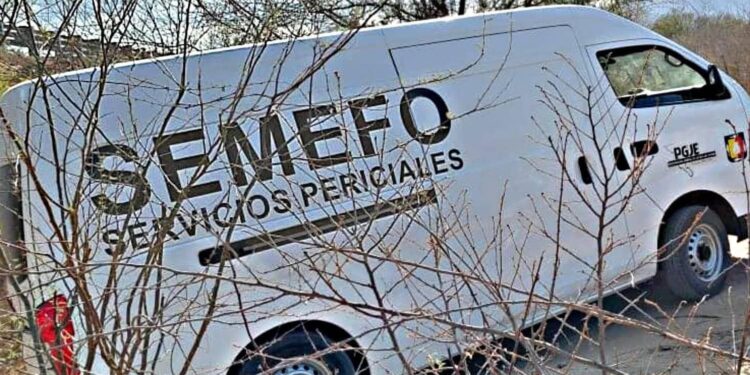 🚨🔪 Joven de 19 años muere tras brutal riña en Cabo San Lucas; PGJE inicia investigación