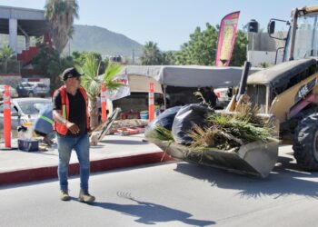 Cuadrillas del Empleo Temporal realizan limpieza en el camellón central de la carretera a Todos Santos y bulevar Constituyentes