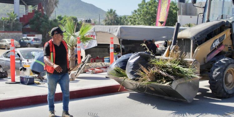 Cuadrillas del Empleo Temporal realizan limpieza en el camellón central de la carretera a Todos Santos y bulevar Constituyentes