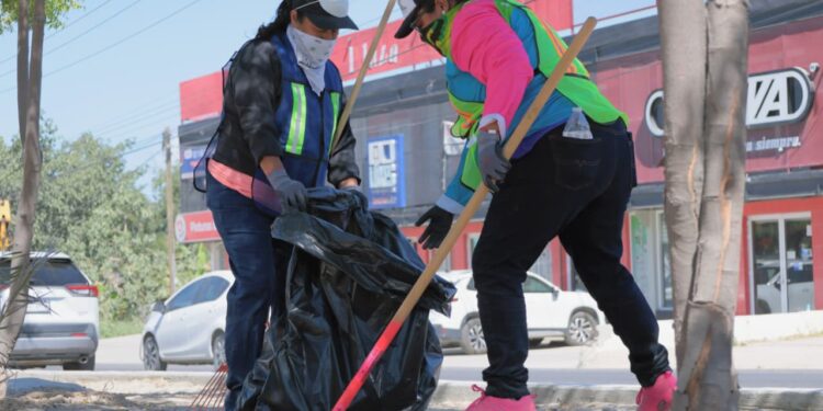 Exitosa respuesta al programa de Empleo Temporal en Los Cabos