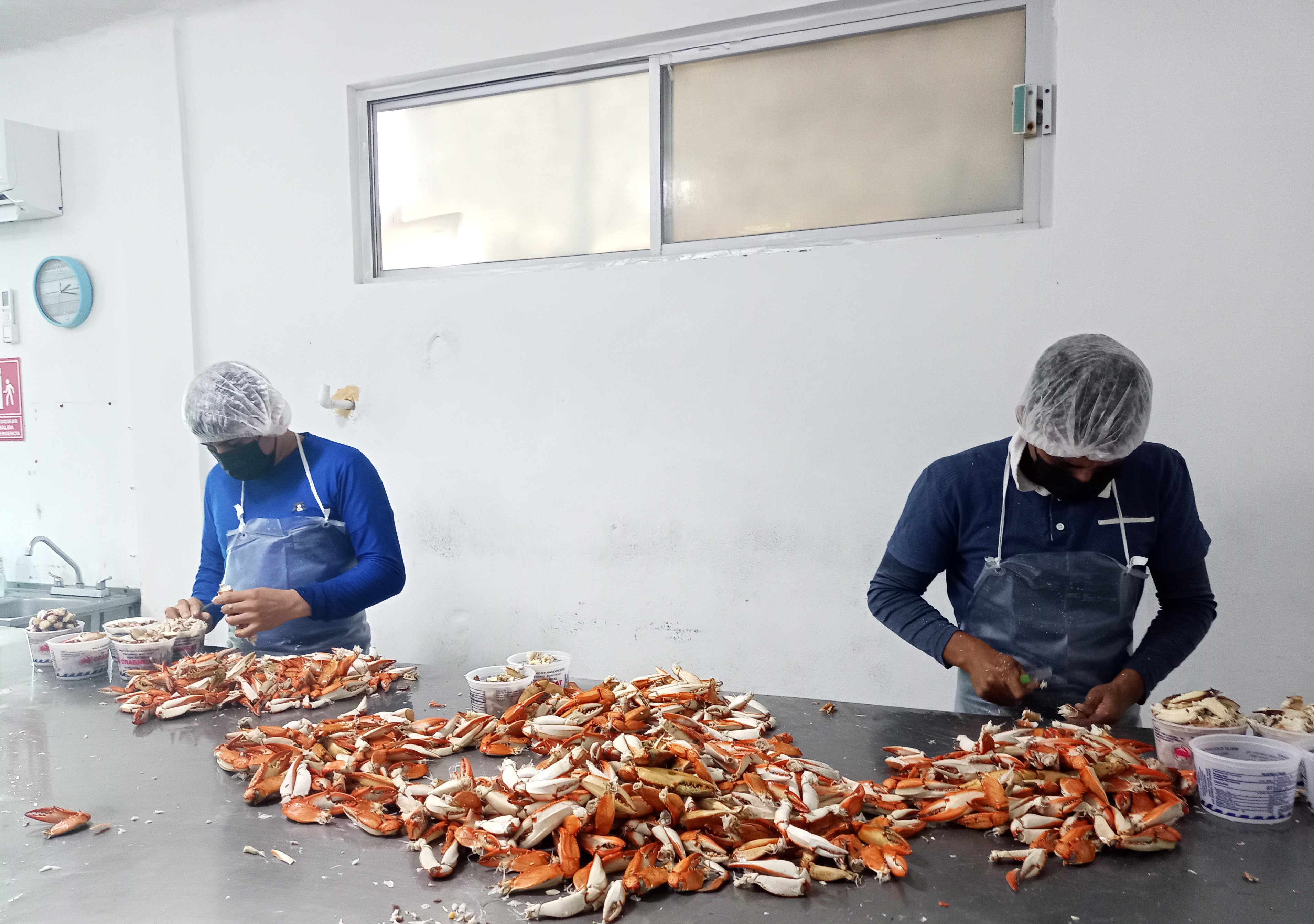 Consolida SEPADA el ordenamiento pesquero y acuícola en BCS