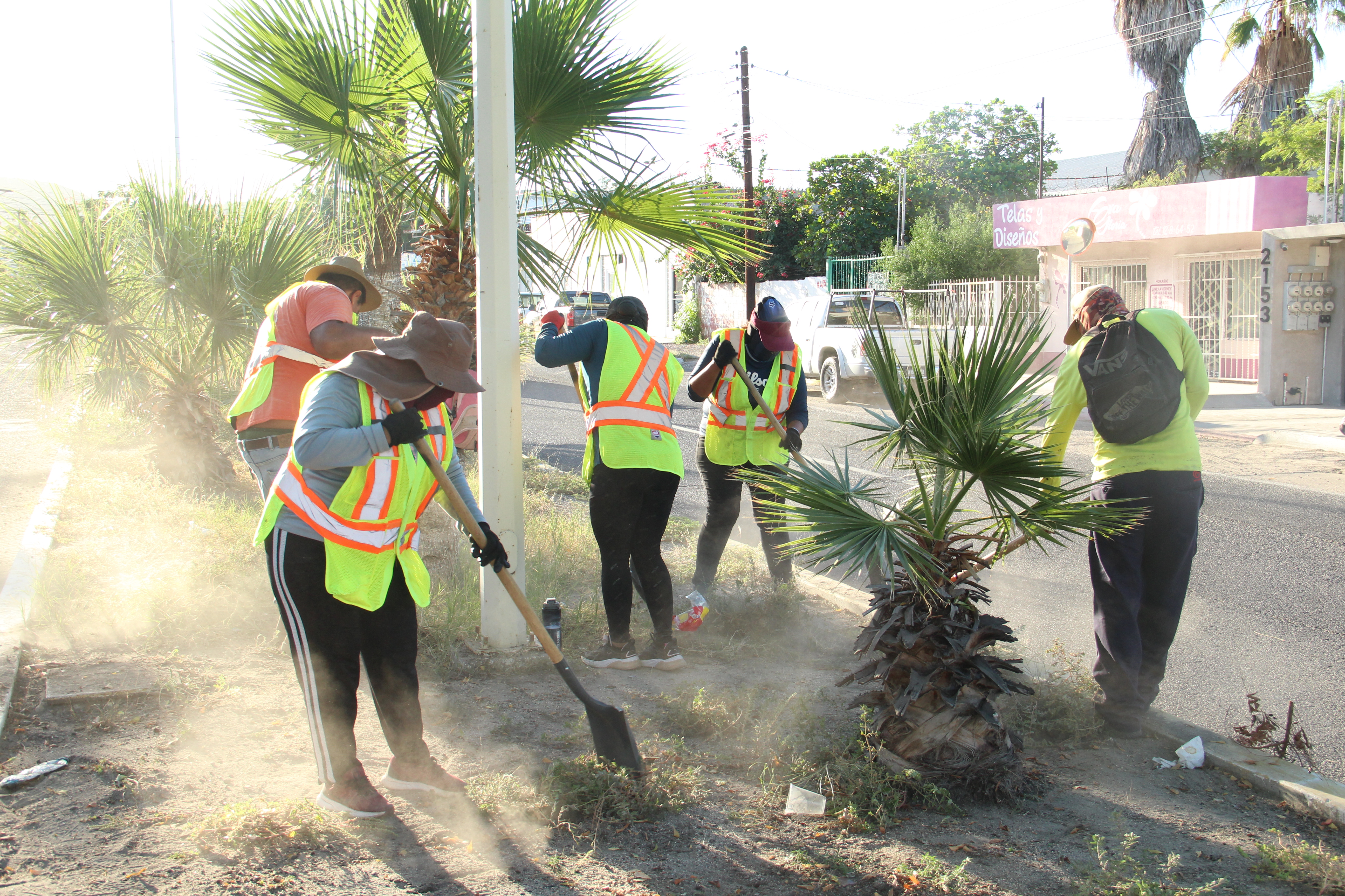 Atienden cuadrillas de empleo temporal más de 100 kilómetros de vialidades en La Paz