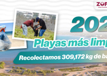 Recolectan más de 300 toneladas de residuos en La Paz durante 2025