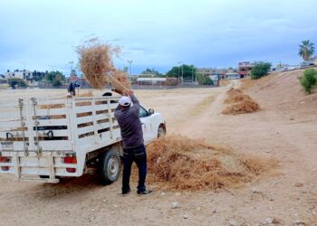 Servicios Públicos realiza limpieza en parques y unidades deportivas de Cabo San Lucas