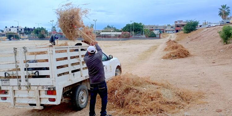 Servicios Públicos realiza limpieza en parques y unidades deportivas de Cabo San Lucas