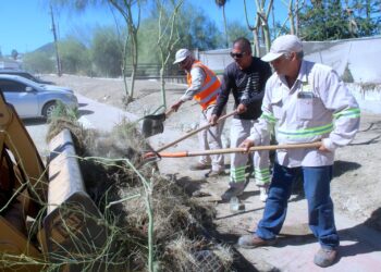 Retiran más de 145 toneladas de residuos en calles y corredores turísticos de San José del Cabo