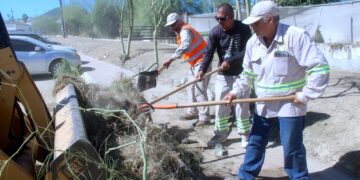 Retiran más de 145 toneladas de residuos en calles y corredores turísticos de San José del Cabo