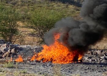 INCINERA FGR NARCÓTICOS Y OBJETOS DEL DELITO EN LA PAZ, BCS