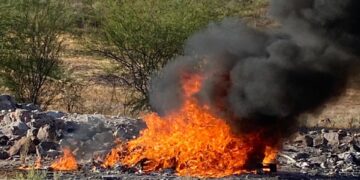 INCINERA FGR NARCÓTICOS Y OBJETOS DEL DELITO EN LA PAZ, BCS