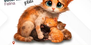 Anuncian Campaña de Esterilización Felina en Cabo San Lucas