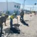 “Caza Baches” continua en tramos de la colonia El Zacatal y acceso a Santa Anita