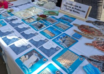 Conmemora Gobierno de Los Cabos Día Mundial de la Educación Ambiental con ceremonia cívica y actividades informativas