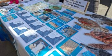 Conmemora Gobierno de Los Cabos Día Mundial de la Educación Ambiental con ceremonia cívica y actividades informativas