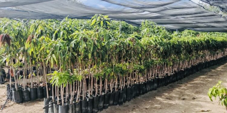 Dona Gobierno del Estado más de 11 mil plantas de ornato a instituciones públicas en 2025