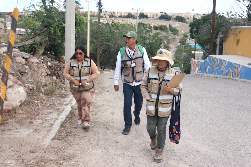 Atendió SSA más de 94 mil hectáreas con brigadas de control larvario en 2025