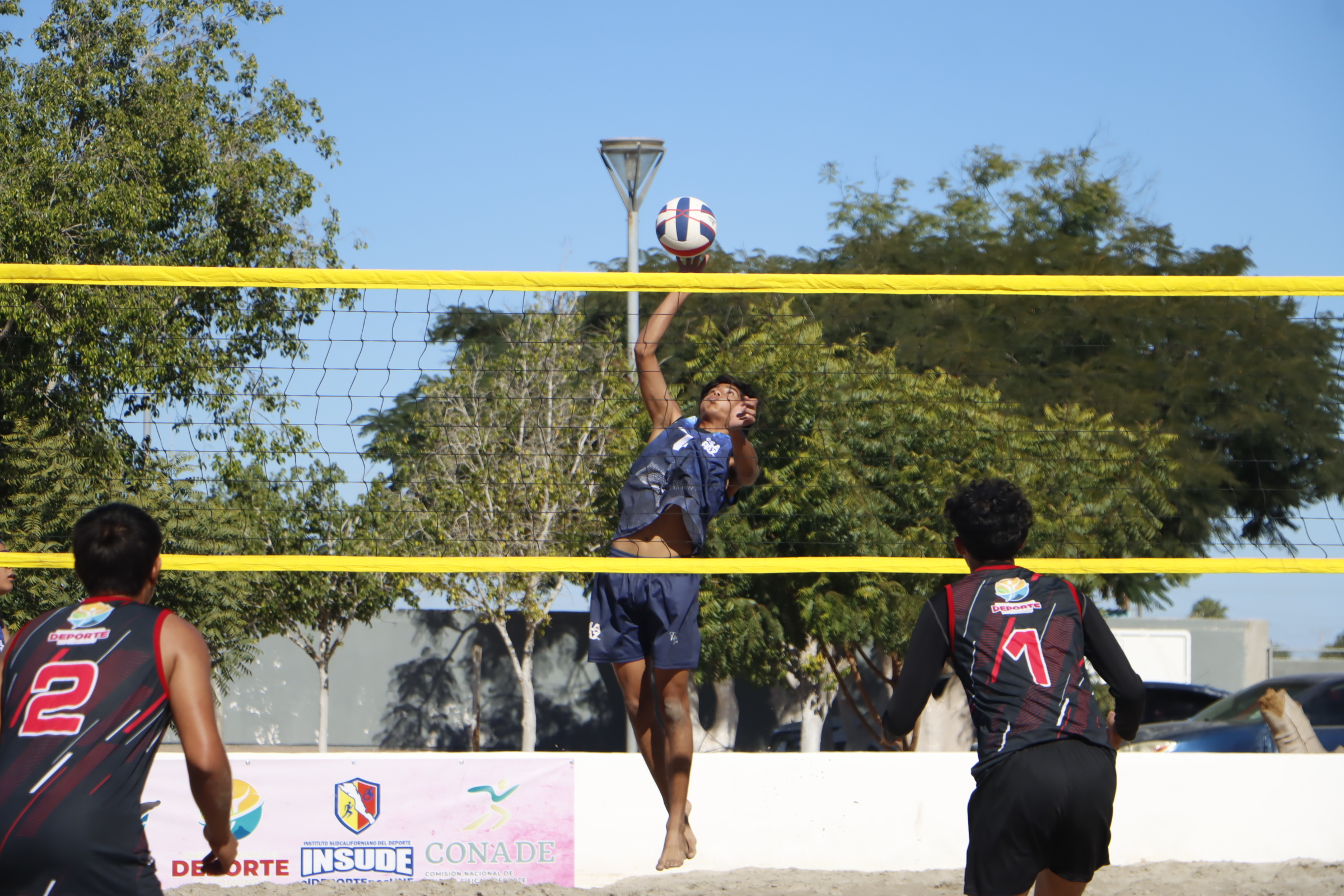 Convocan a deportistas paceños para preselectivos estatales de voleibol y básquetbol