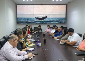 Coordina Turismo Municipal acciones para el avistamiento de ballenas en Puerto Chale