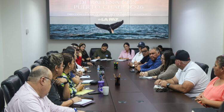 Coordina Turismo Municipal acciones para el avistamiento de ballenas en Puerto Chale