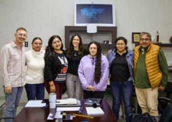 Evalúan avances del Programa Insignia La Paz