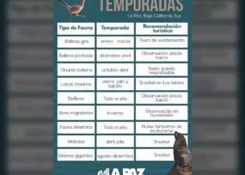 La Paz se consolida como destino de experiencias naturales todo el año