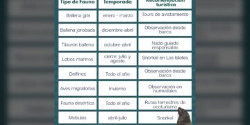 La Paz se consolida como destino de experiencias naturales todo el año