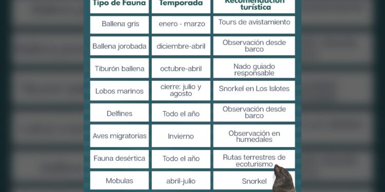 La Paz se consolida como destino de experiencias naturales todo el año