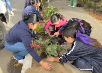Jornada de Reforestación en Miraflores fortalece la participación comunitaria y el cuidado del medio ambiente
