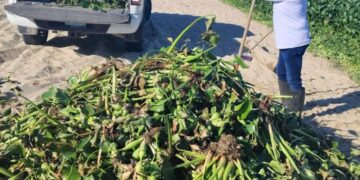 Atienden de manera directa a locatarios del Tianguis Las Palmas en Cabo San Lucas