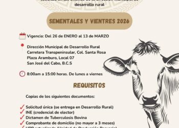 Lanza Ayuntamiento de Los Cabos convocatoria del Programa de Mejoramiento Genético Ganadero 2026