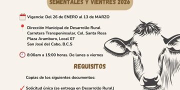 Lanza Ayuntamiento de Los Cabos convocatoria del Programa de Mejoramiento Genético Ganadero 2026