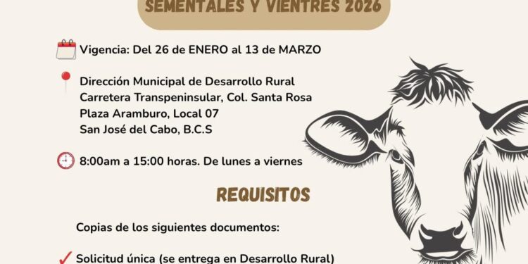 Lanza Ayuntamiento de Los Cabos convocatoria del Programa de Mejoramiento Genético Ganadero 2026