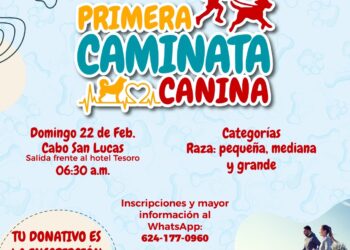 Mañana domingo 22 de febrero es la Primera Caminata Canina en Cabo San Lucas