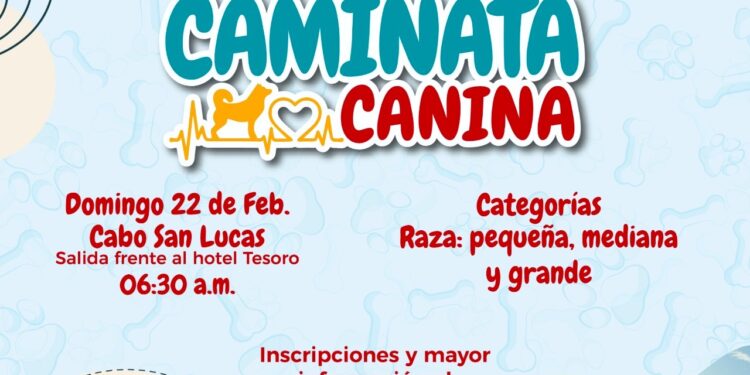 Mañana domingo 22 de febrero es la Primera Caminata Canina en Cabo San Lucas