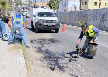 “Caza Baches” responde al llamado ciudadano en colonia Guaymitas, Rosarito y Magisterial