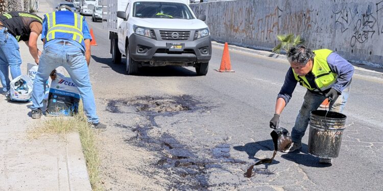 “Caza Baches” responde al llamado ciudadano en colonia Guaymitas, Rosarito y Magisterial