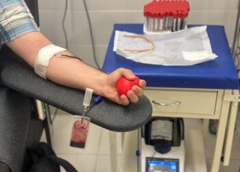 🚨 Señalan posible irregularidad grave en banco de sangre del ISSSTE en Cabo San Lucas
