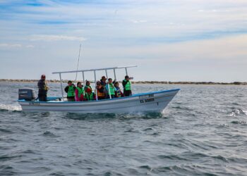 Niñas y niños de comunidades rurales de La Paz ven por primera vez a las ballenas