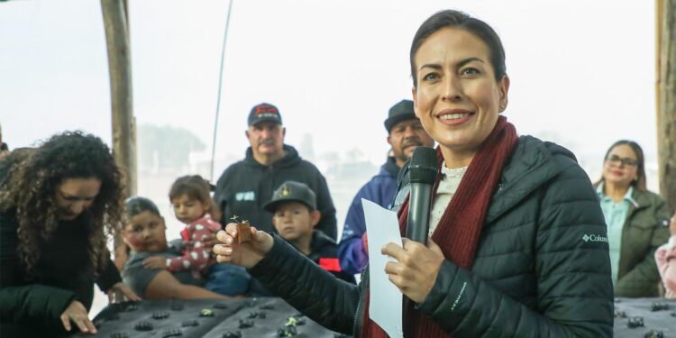 Entrega Milena Quiroga huerto comunitario en Puerto Chale para fortalecer la alimentación