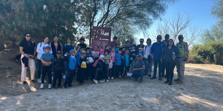 Promueven la conservación de aves en el municipio de La Paz