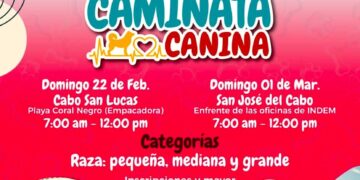 Realizarán Caminatas Caninas con causa en Los Cabos