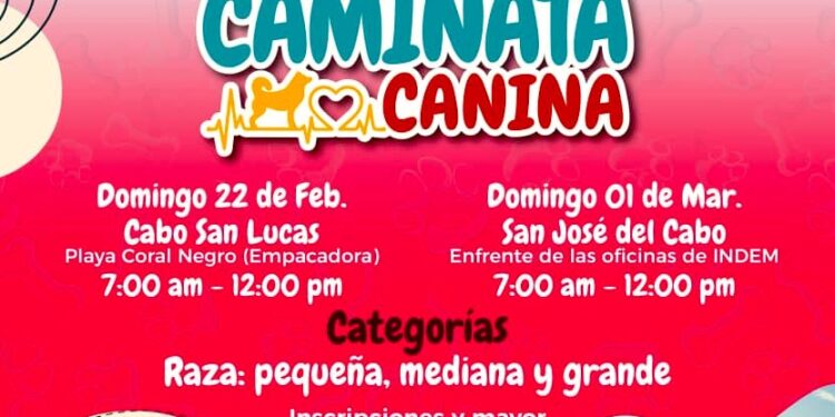 Realizarán Caminatas Caninas con causa en Los Cabos