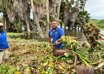 Realizan jornada de limpieza interinstitucional “Juntos al Tequio” en el Estero de San José del Cabo